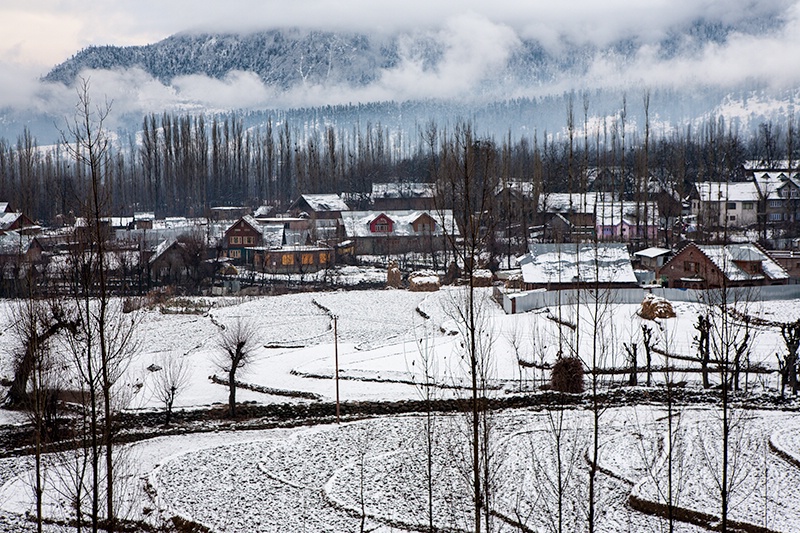 Wintry Landscape