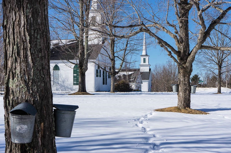 Signs of Spring in New England