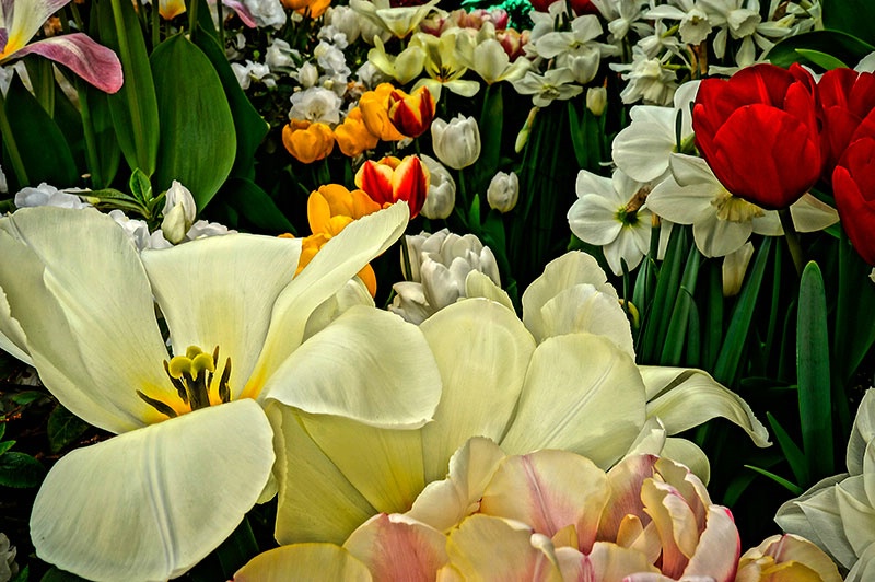 Spring Explosion!
