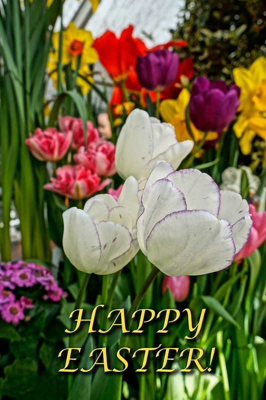 Happy Easter!