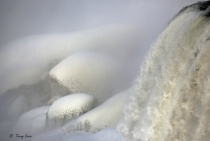 The Beauty of Winter