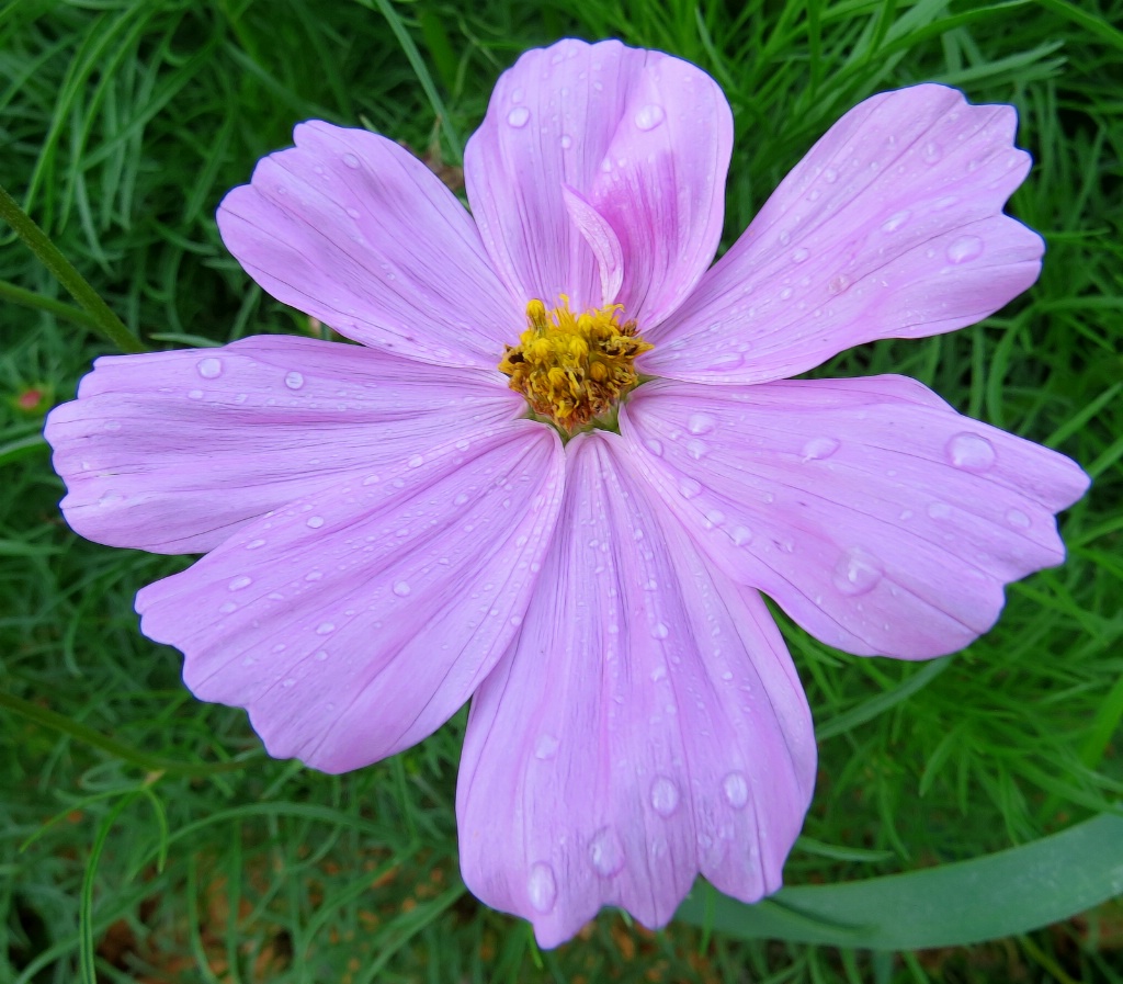 60