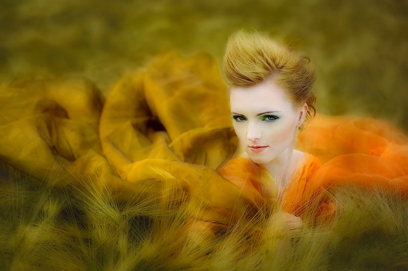 Photography Contest Grand Prize Winner - Alice in Barley-Land