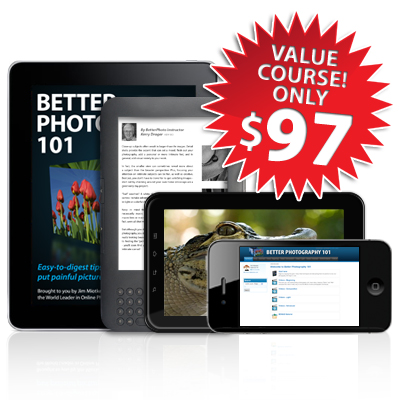 Digital photography course