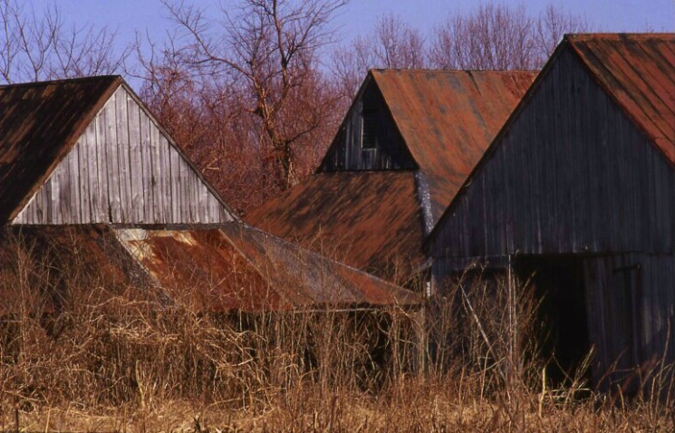 53