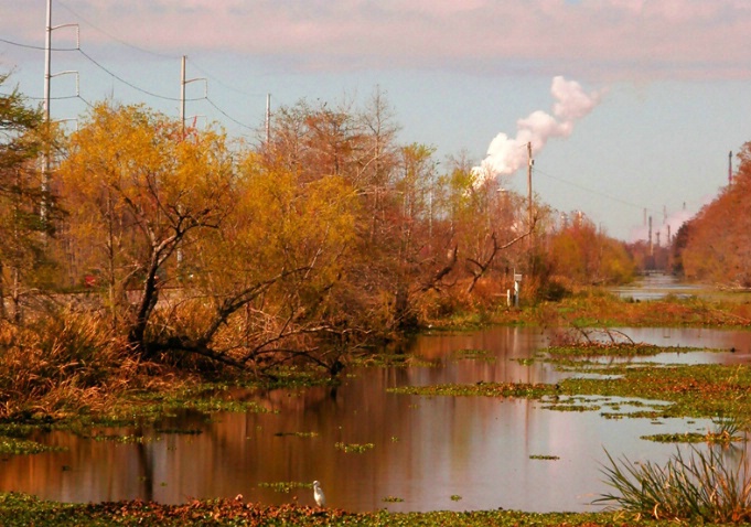 Swamp Meets Civilization