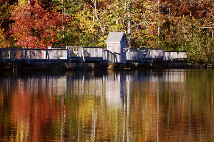 Fall Bridge Landscape