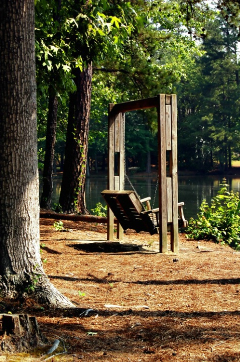 Lake Swing