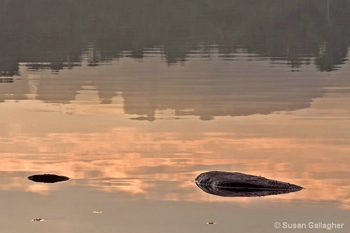 Solitary Mornings_2