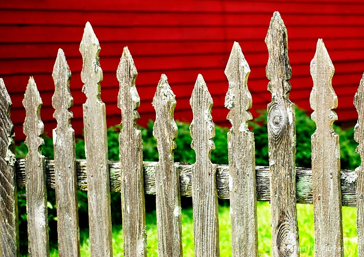 Fenced Yard