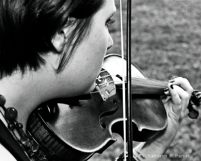 The Wedding Violinist