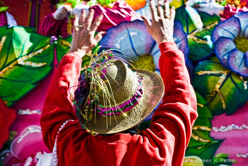 Mardi Gras:Throw Me Somethin' Mister 