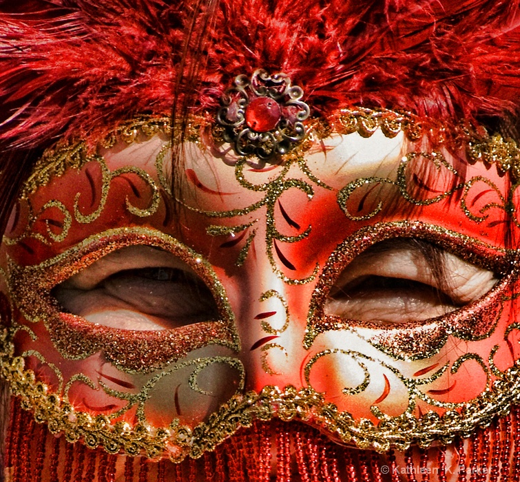 Mardi Gras Masker