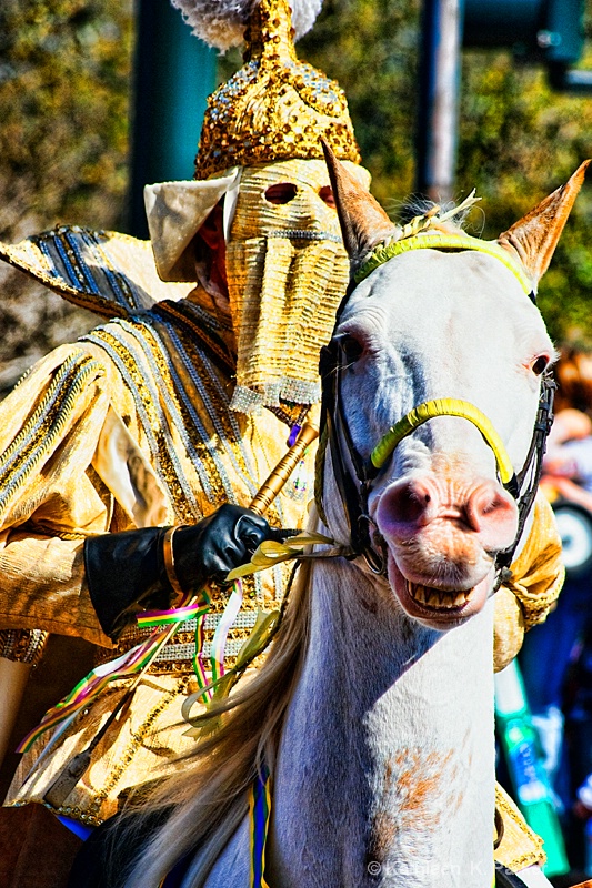 Duke on Horseback: Rex Parade