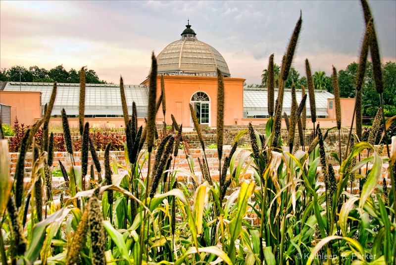 #3060 New Orleans Botanical Garden