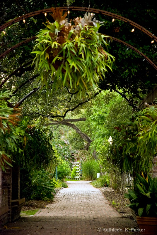 #3687 New Orleans Botanical Garden