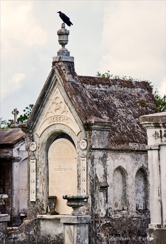 A Crow Perches - Webert Tomb, Metairie Cemetery