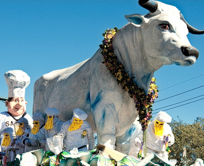 Le Boeuf Gras traditional Rex float