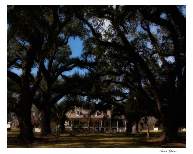 oakland plantation