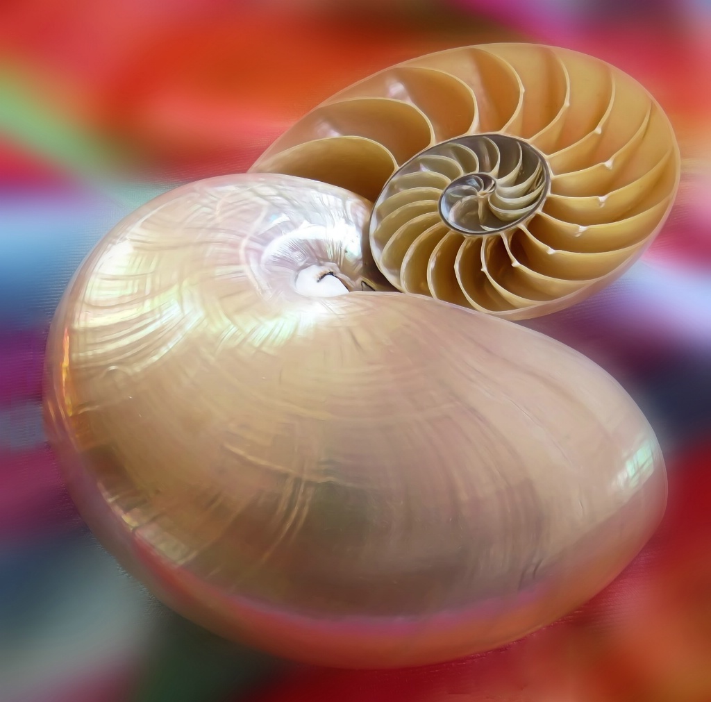 67