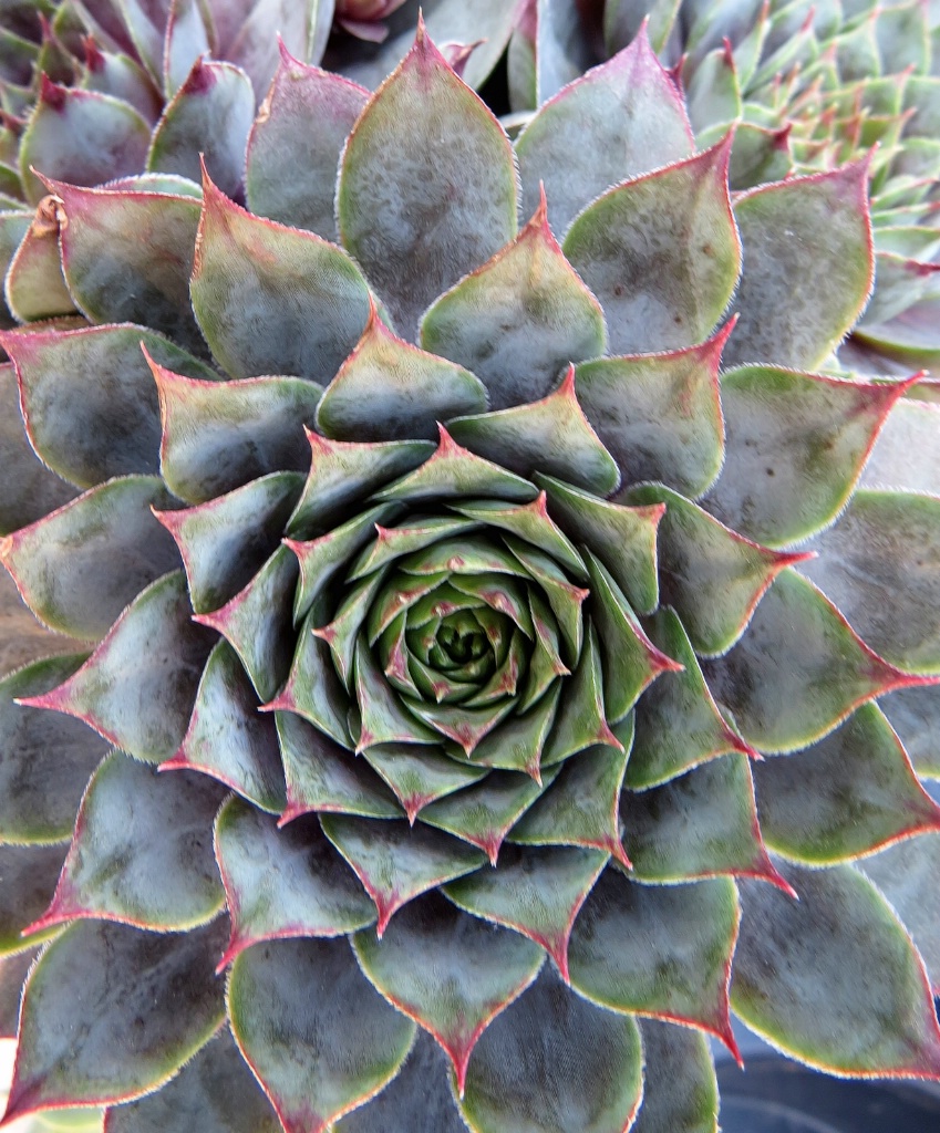 37