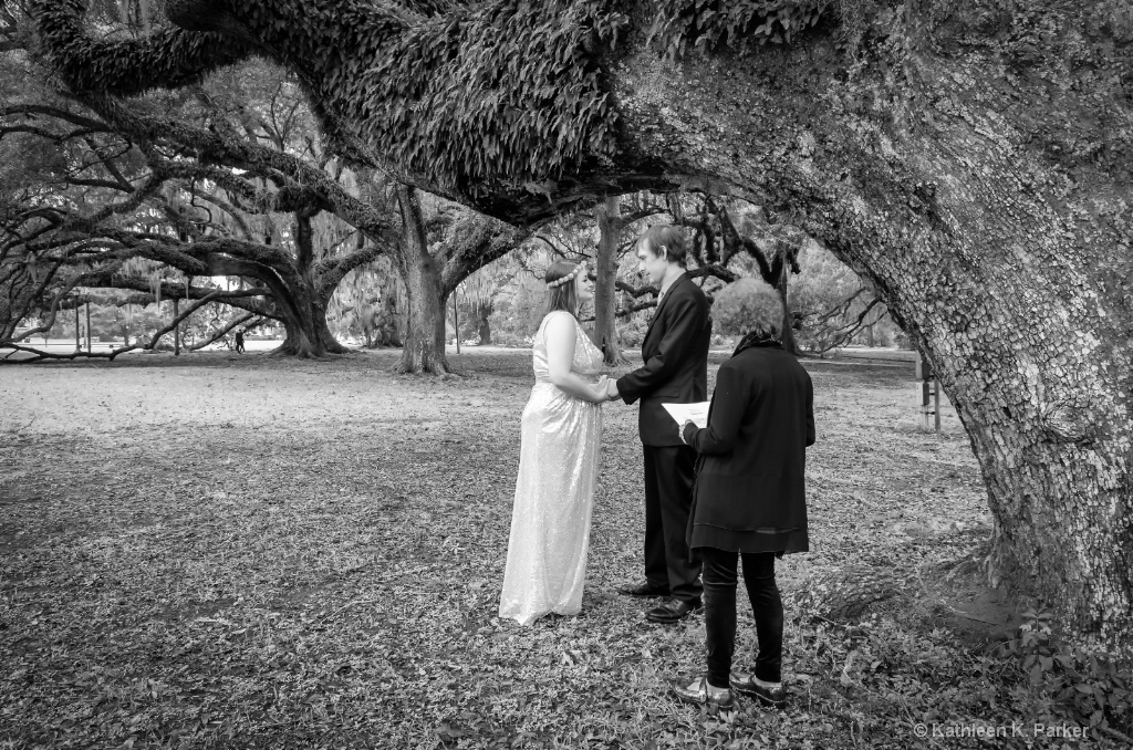 CJ Wed-5