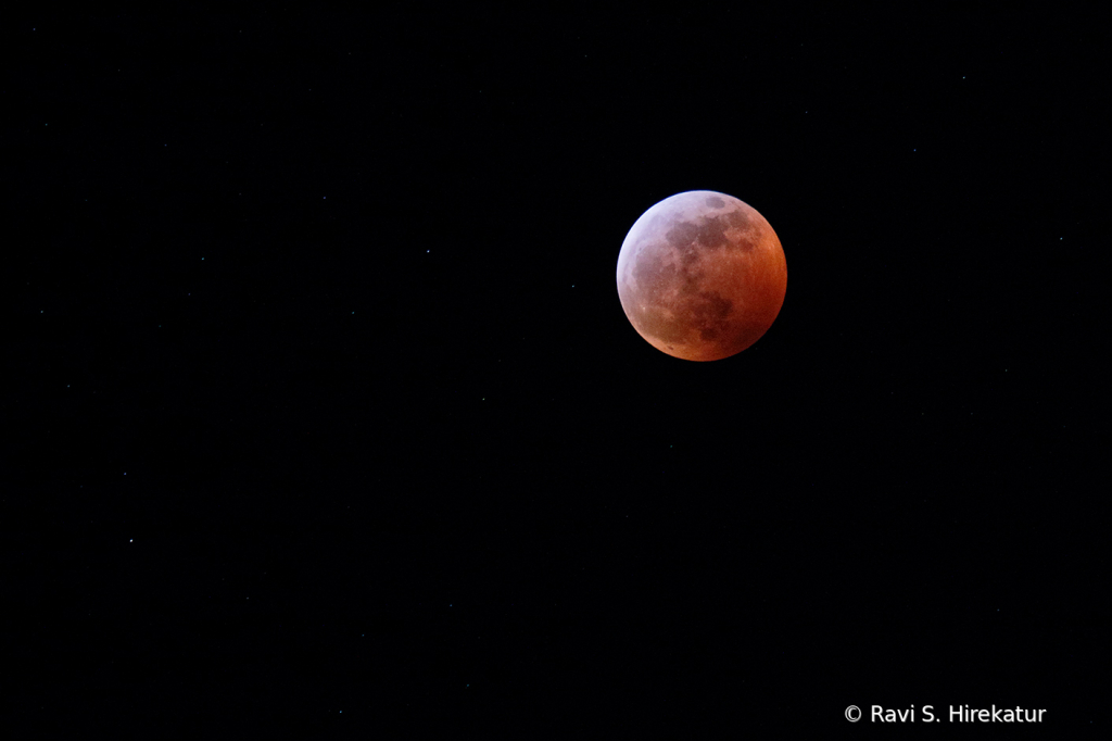 Blood Moon 