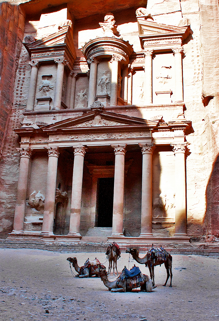 Camels at Majestic Petra
