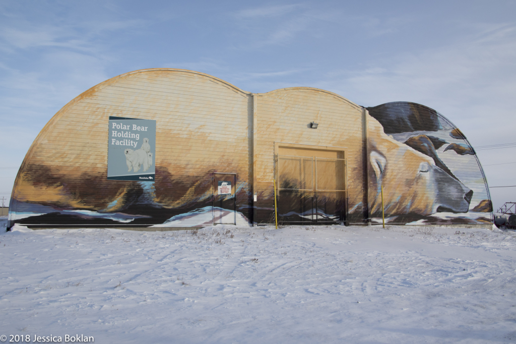 Polar Bear Prison