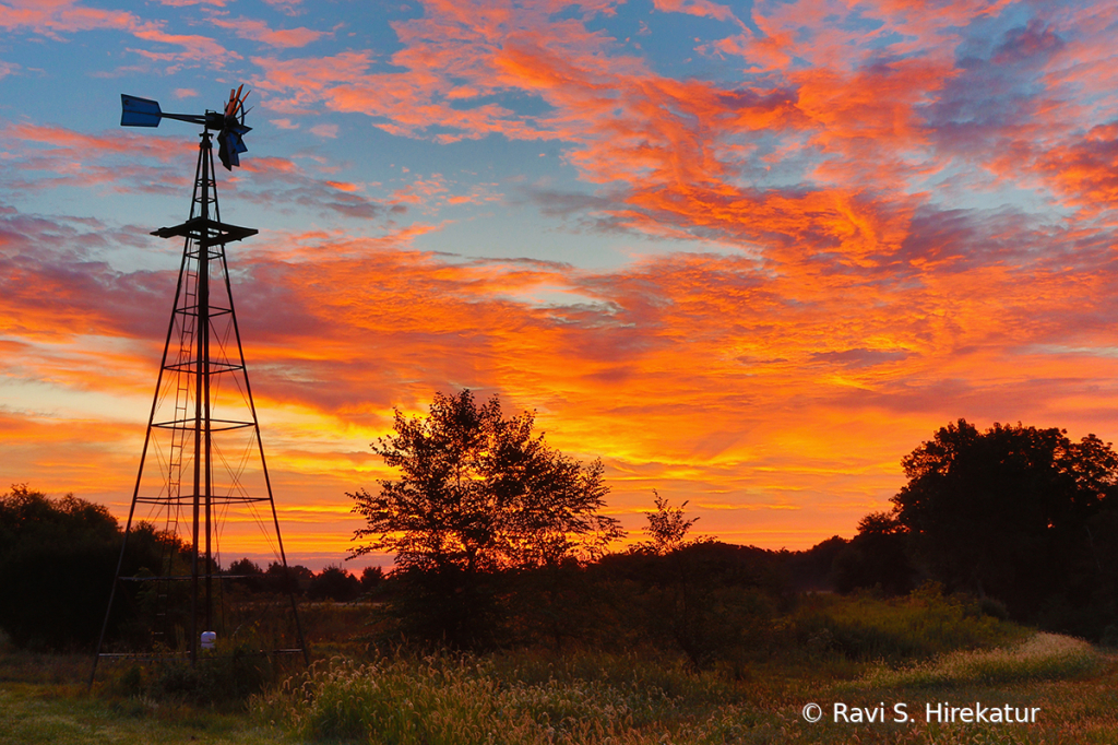 Sunrise on a Farm