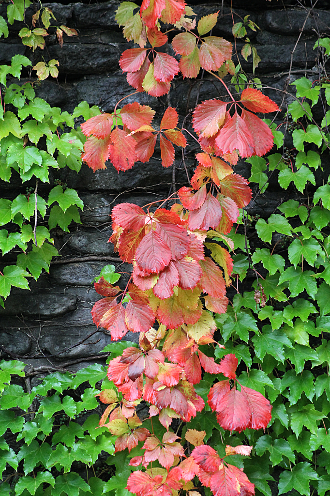Stone Wall