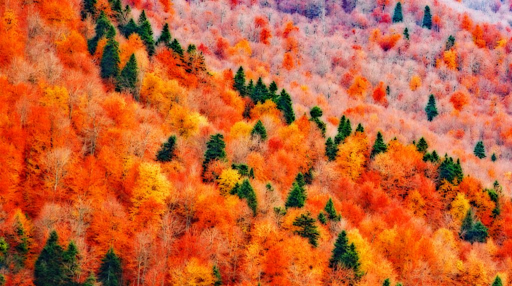 Impression in fall color mountainside.