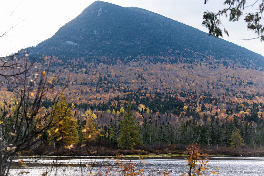 End of Fall Beauty!