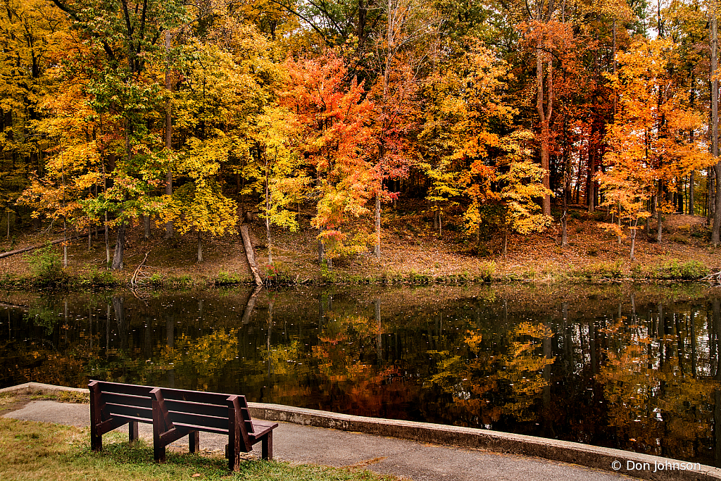 A Place to Relax 10-29-19 065