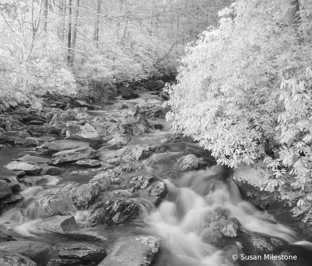 Smokies Infrared Stream 7939