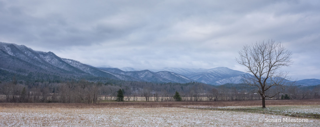 Cades Cove Snow 4172