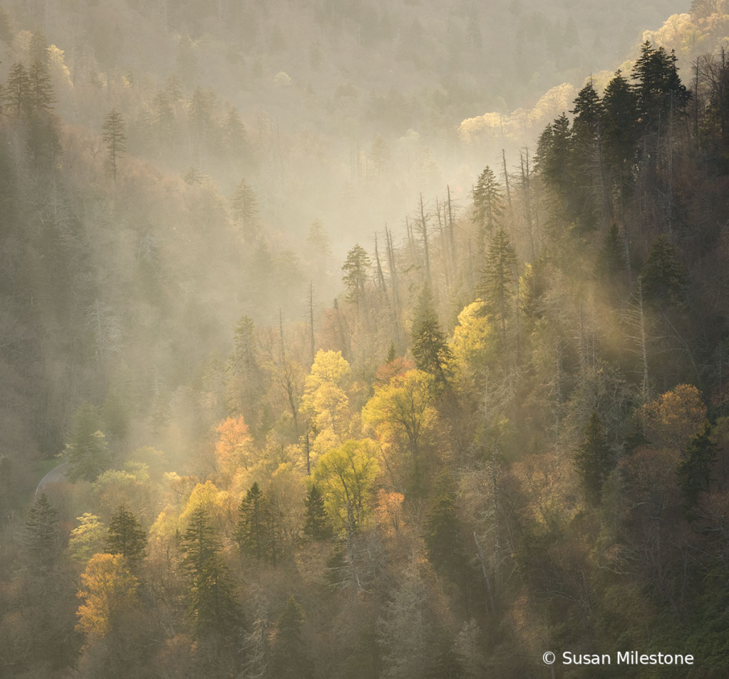 Morton Overlook Mist 5814