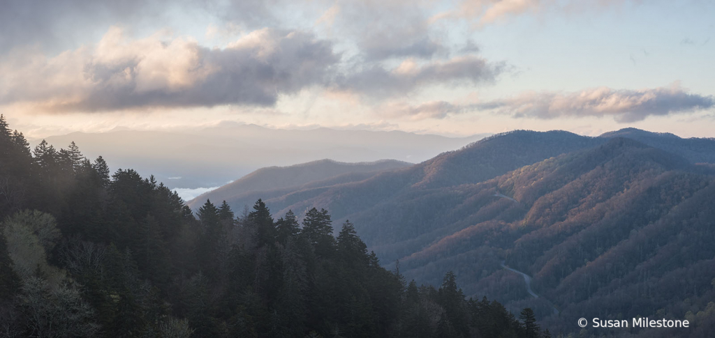 Newfound Gap Stitched Panorama