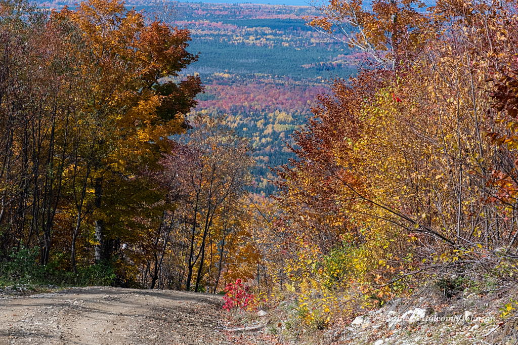 Steep and Beautiful!