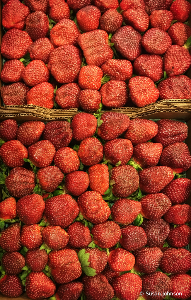 Perfect Strawberries for the Perfect Jam