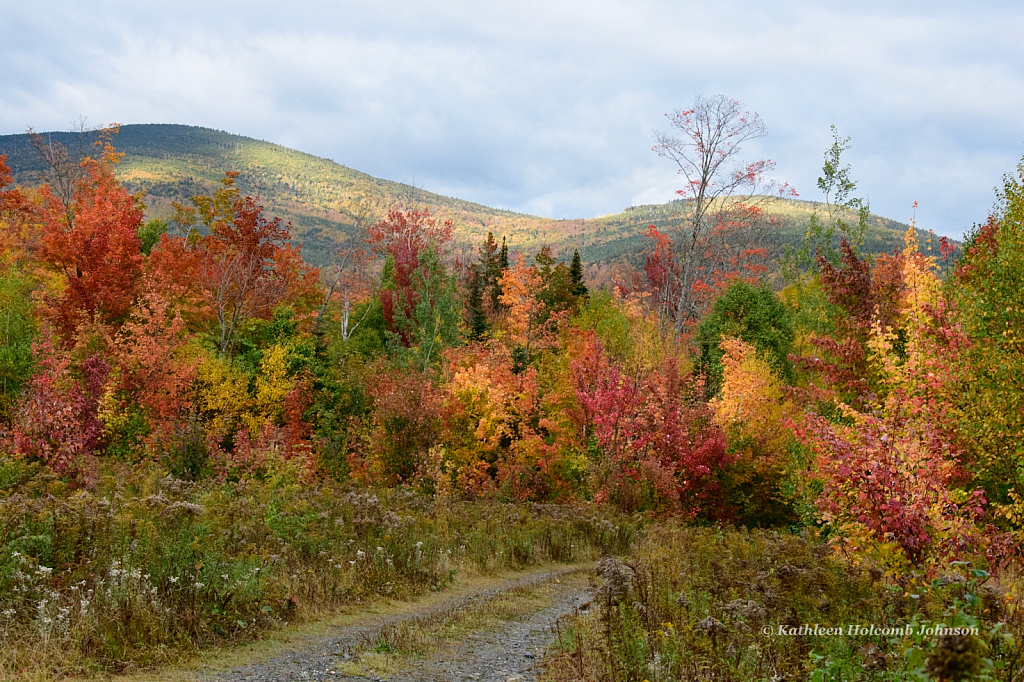 Beautiful Fall!