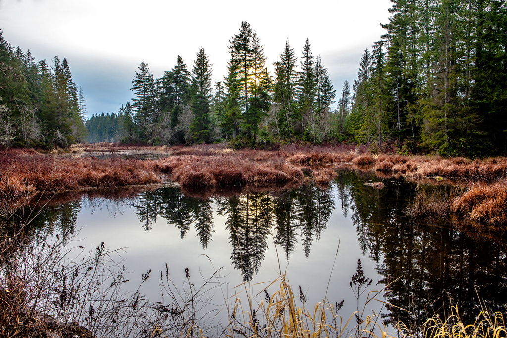 Dewatto Pond