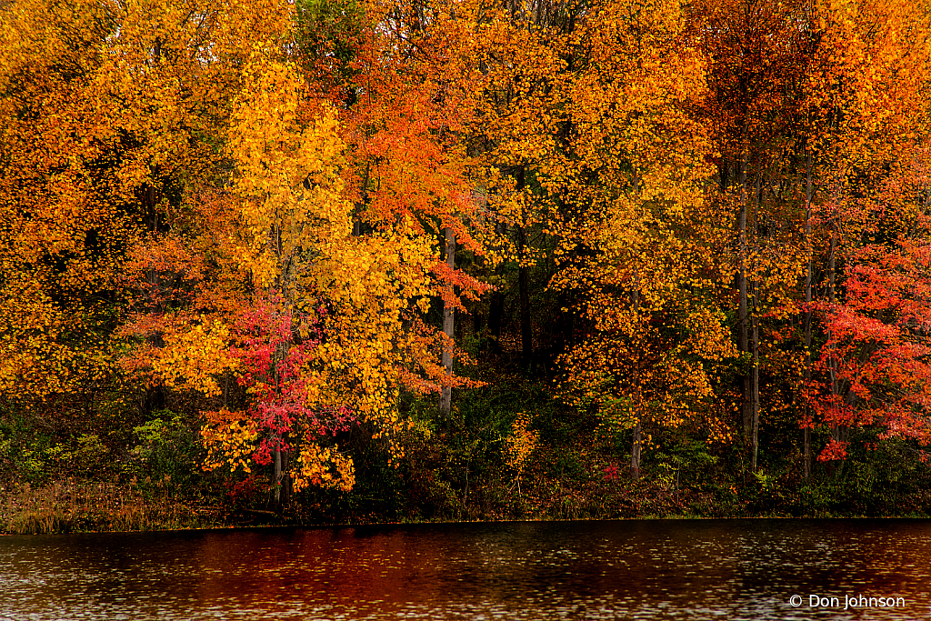 All the Colors