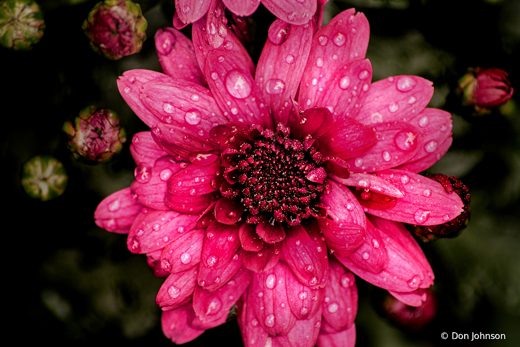 Wet Mum 10-12-050