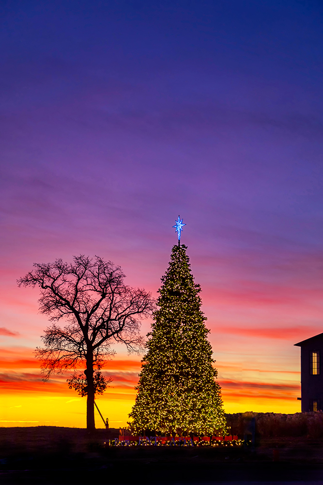 Christmas Colors