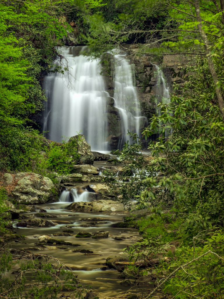 Waterfall In The Smoky Mountains