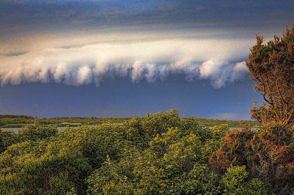 Diary of a Nantucket Storm 1