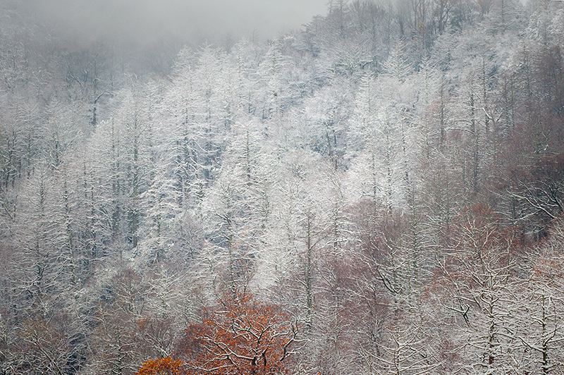 Smoky Mountain snow 2