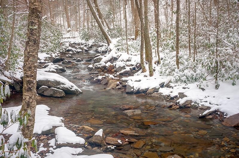 Smoky Mountain Snow 3