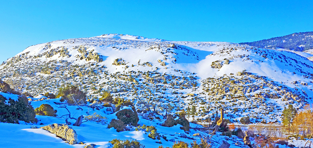 Snowed waste land.